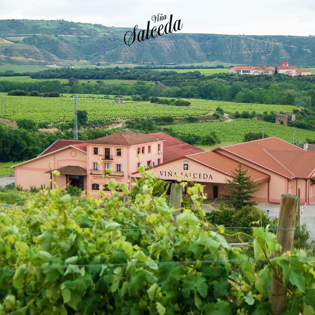 Viña Salceda bodega viñedos