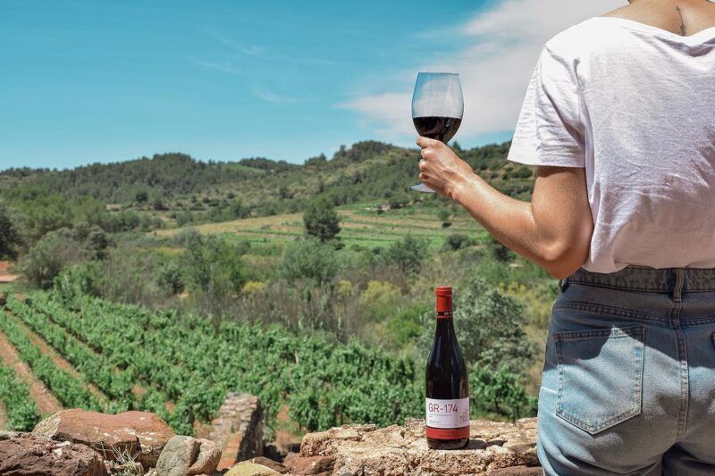 Gran Recorrido viñedos